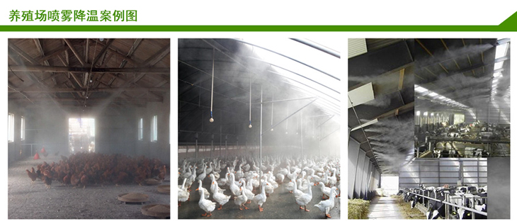 1627458398419325.jpg 1627458398419325.jpg