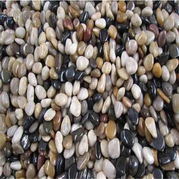 青岛五彩园林铺路抛光黑色鹅卵石家装建材园林景观石变压器鹅卵石