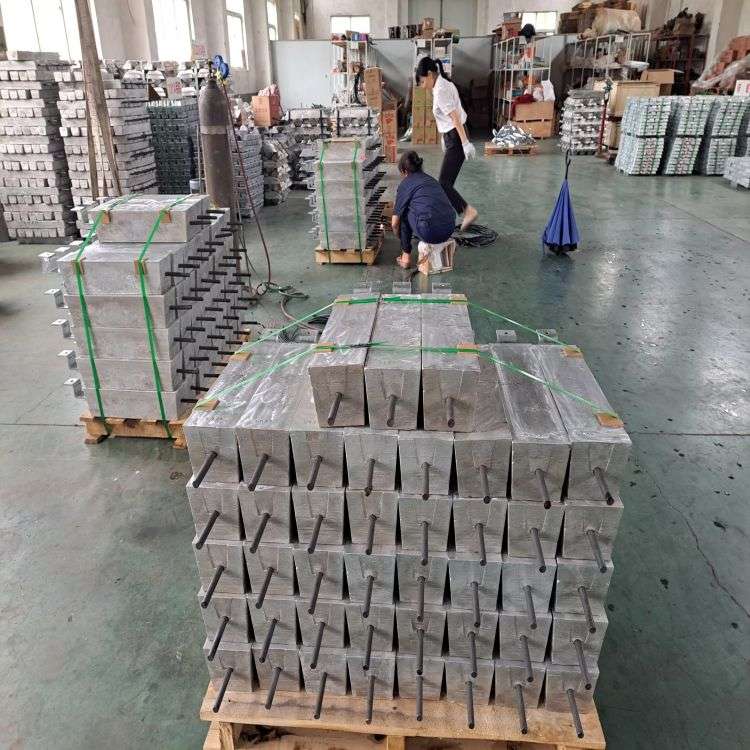 1691224235432335.jpg