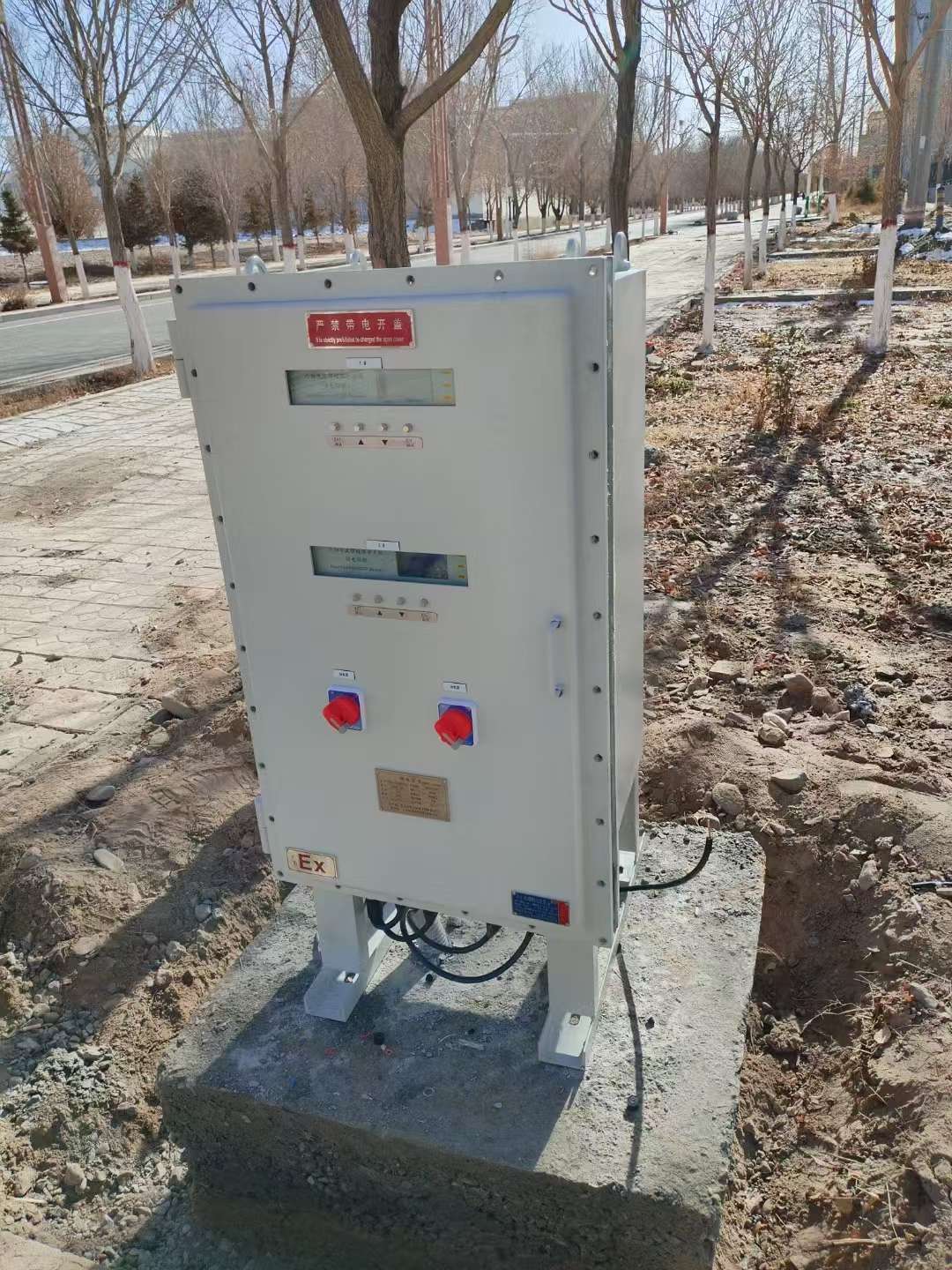 1736162492574992.jpg