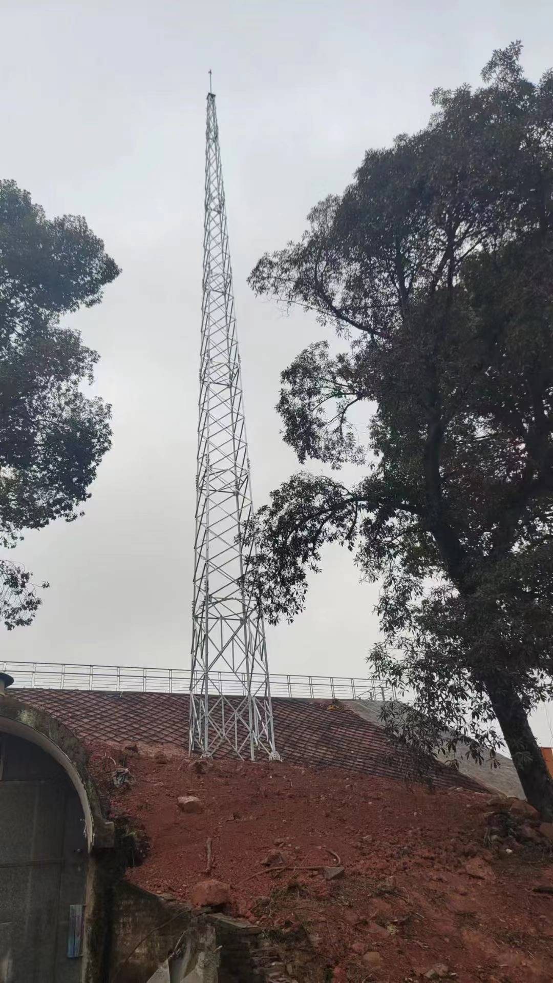 1745233600416032.jpg