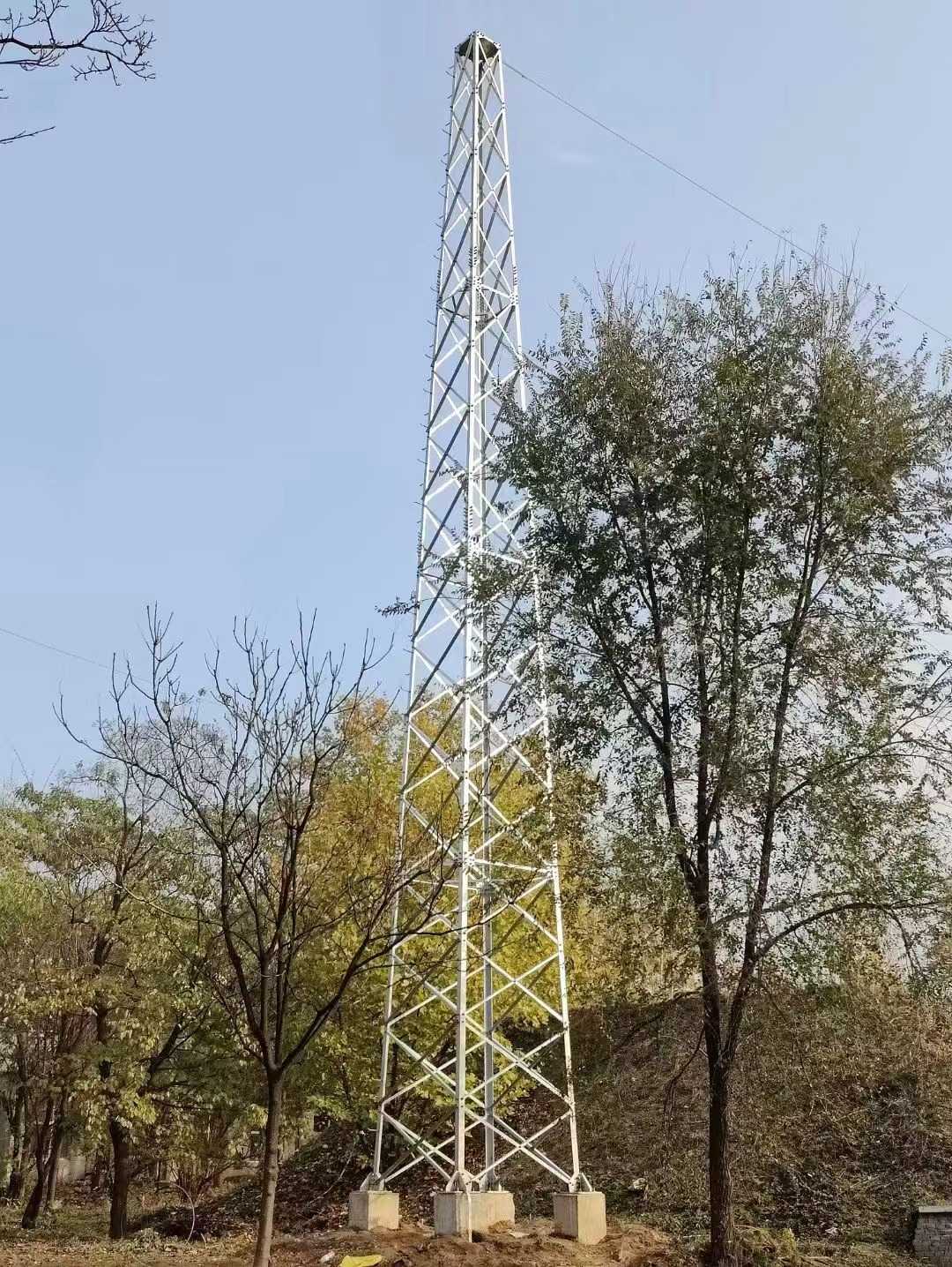 1745492879351236.jpg