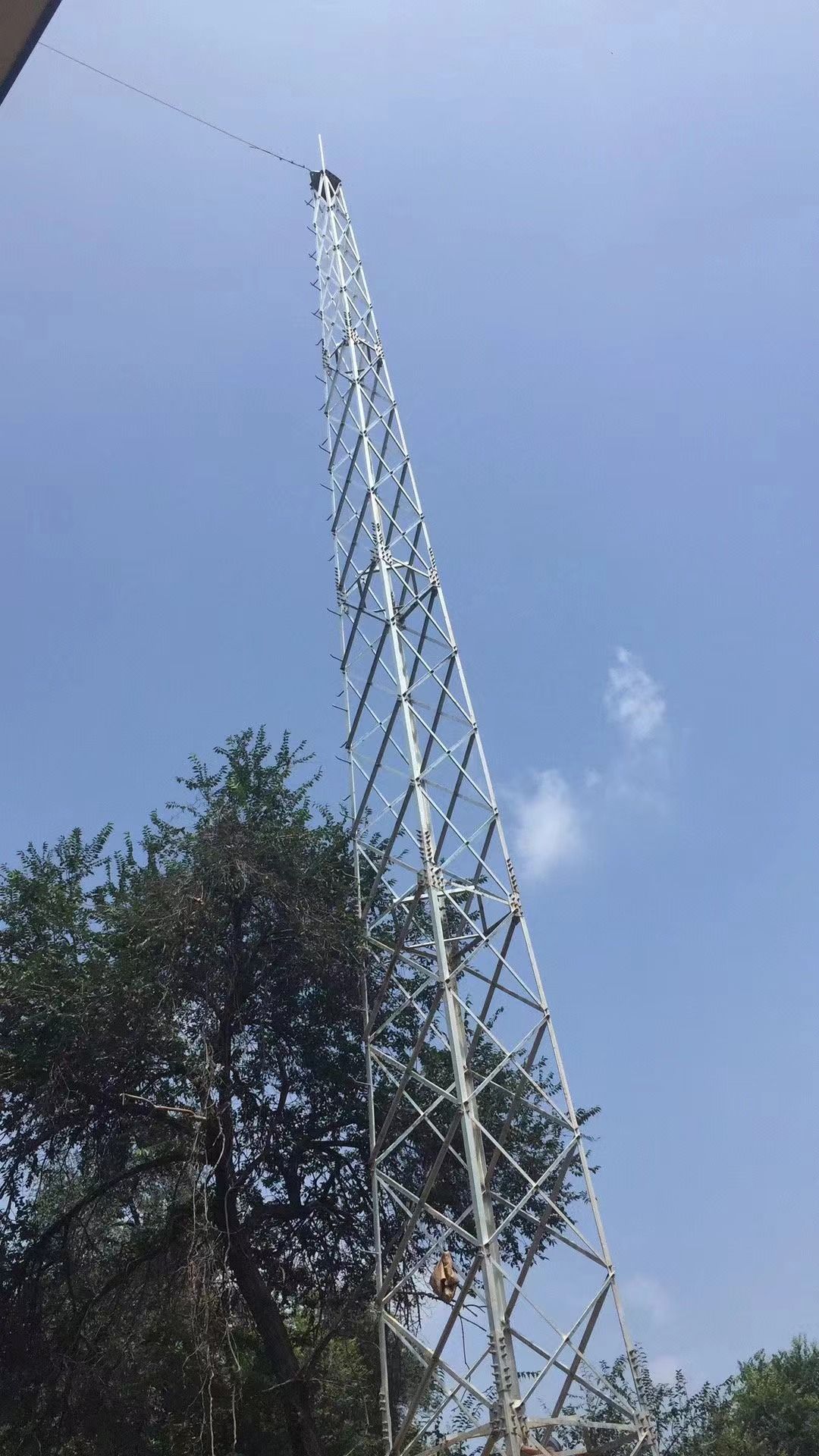 1745493010899350.jpg