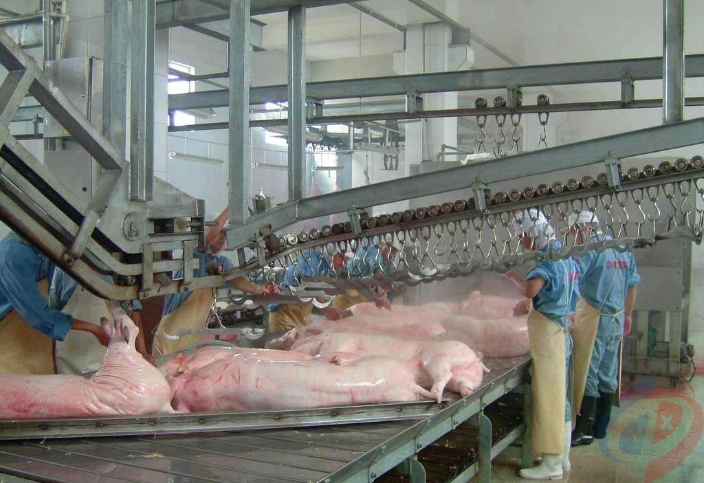 猪屠宰流水线设备 生猪屠宰设备 赶猪通道 小型屠宰设备