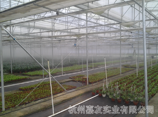 829d78bcgx6CGPV8Mj9d3&690.png