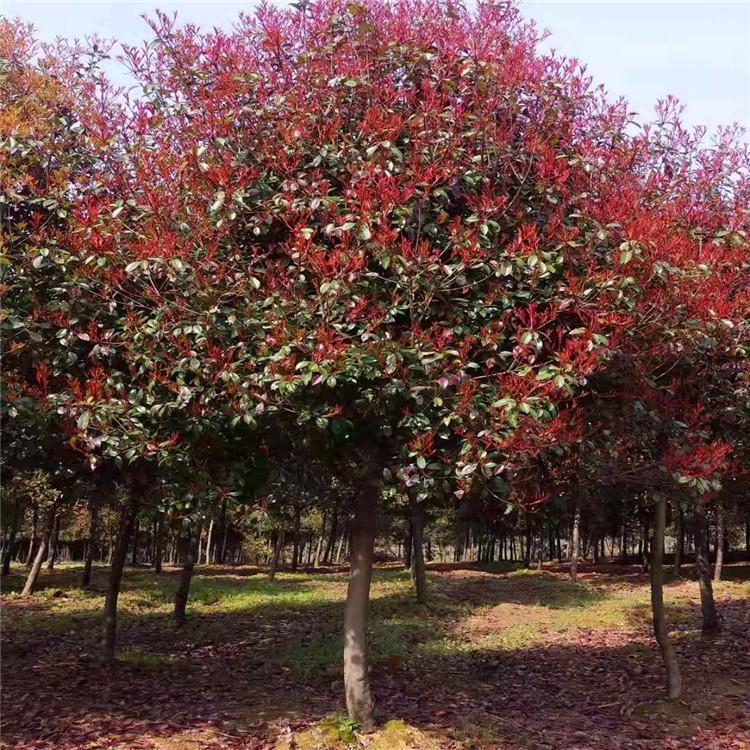 1609163182936704.jpg 1609163182936704.jpg