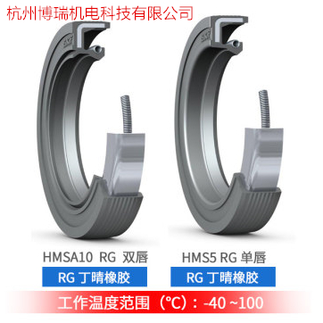 SKF密封/SKF油封/SKF骨架密封/CR密封 100X<em>13</em>0X12 HMSA10 RG