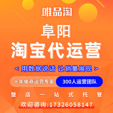 阜阳淘宝代运营-淘系平台c店企业旗舰店服务商-唯品淘