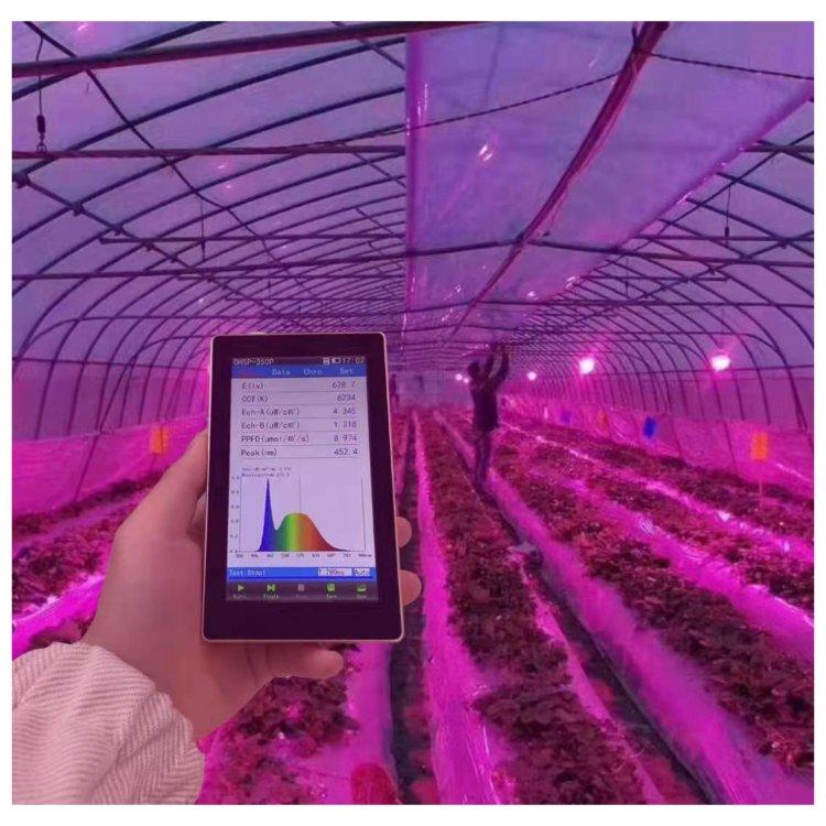 定制款OHSP350UVP植物版紫外光谱分析仪
