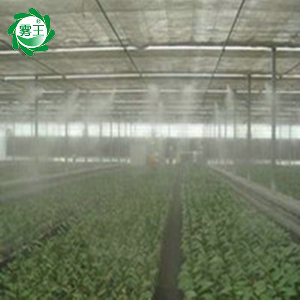 农业大棚加湿器 温室大棚喷雾设备 蔬菜大棚自动喷雾器