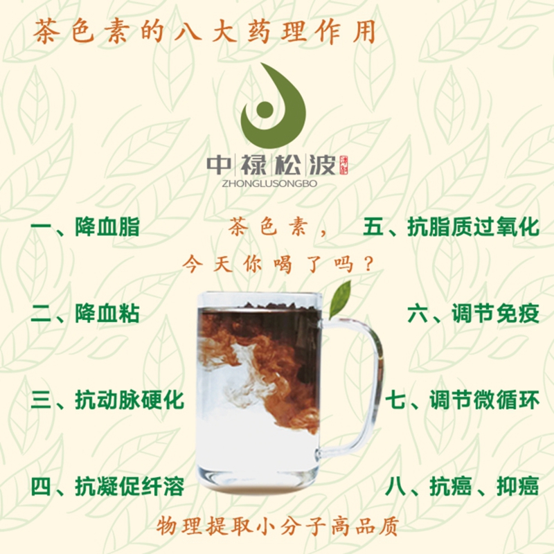 中禄松波茶色素源头工厂_物理提取茶色素_茶褐素生产厂家