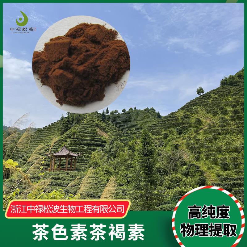 中禄松波茶色素源头工厂_色泽自然褐色_茶色素原料生产厂家