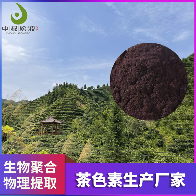 【中禄松波茶色素 茶褐素】_物理提取茶色素_茶褐素厂家