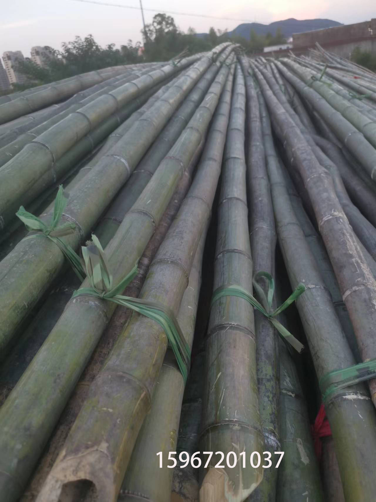 原产地直发大棚竹竿 菜架竹 绿化支撑 毛竹 毛竹片品种齐全 各种竹制品 量大从优