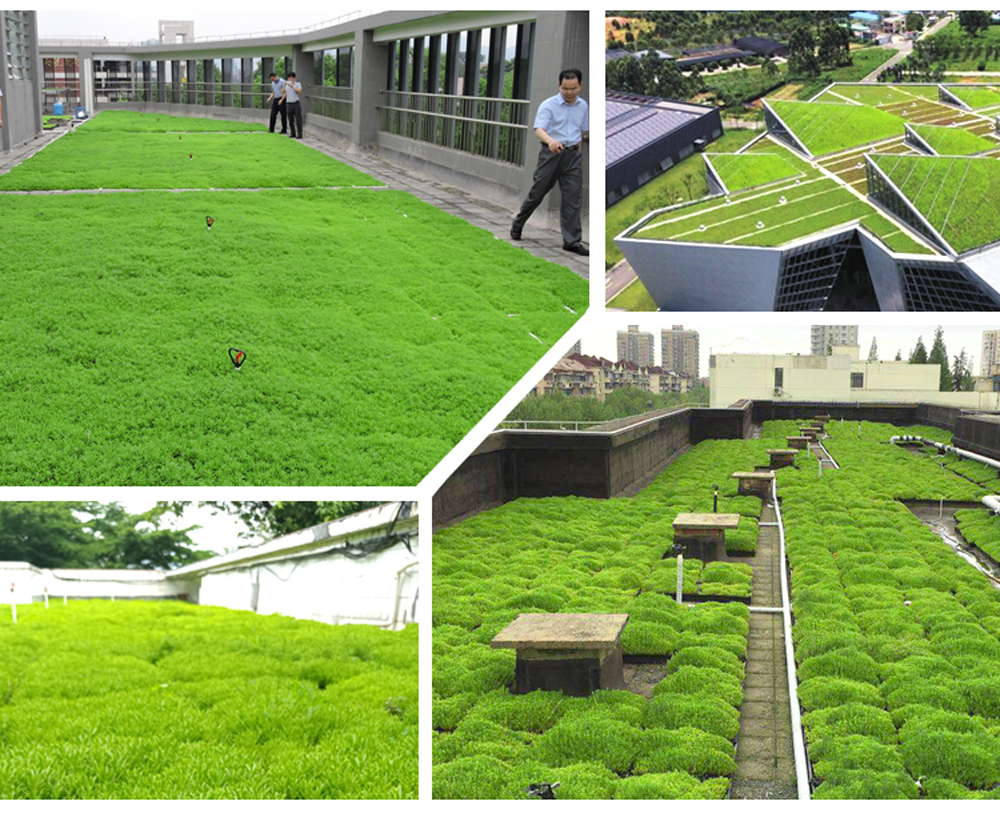 屋顶绿化渗蓄排植草盒
