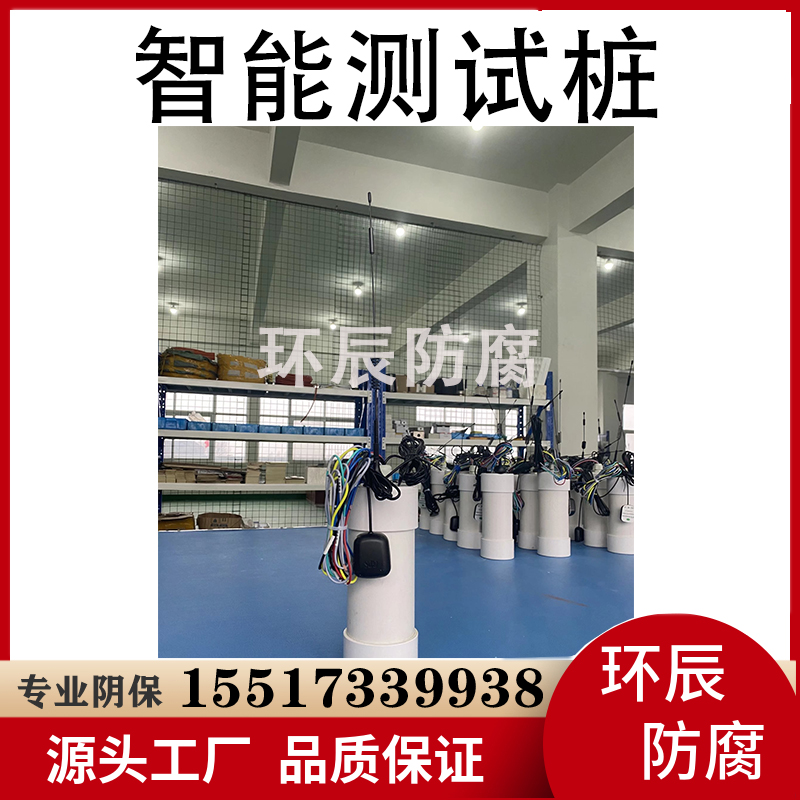 电位采集仪 牺牲阳极测试桩 耐腐蚀 抗酸碱
