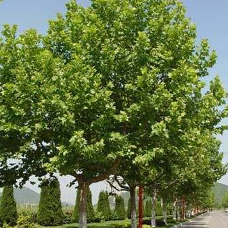 1570670725223328.jpg 1570670725223328.jpg