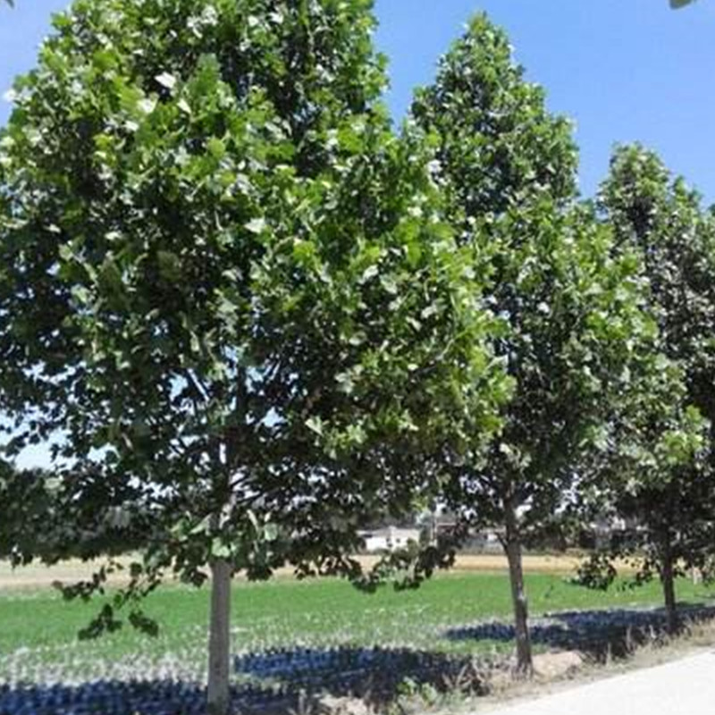 1570670725523404.jpg 1570670725523404.jpg