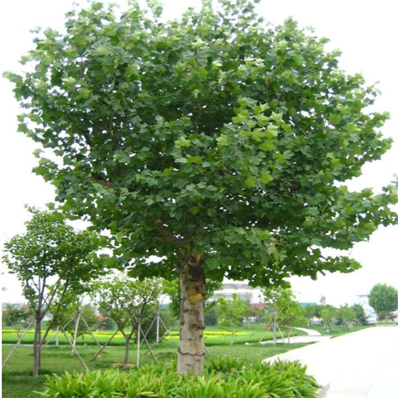 1570670725554450.jpg 1570670725554450.jpg