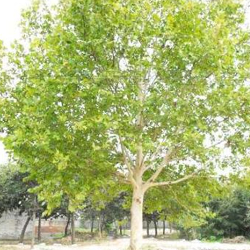 1570670726103168.jpg 1570670726103168.jpg