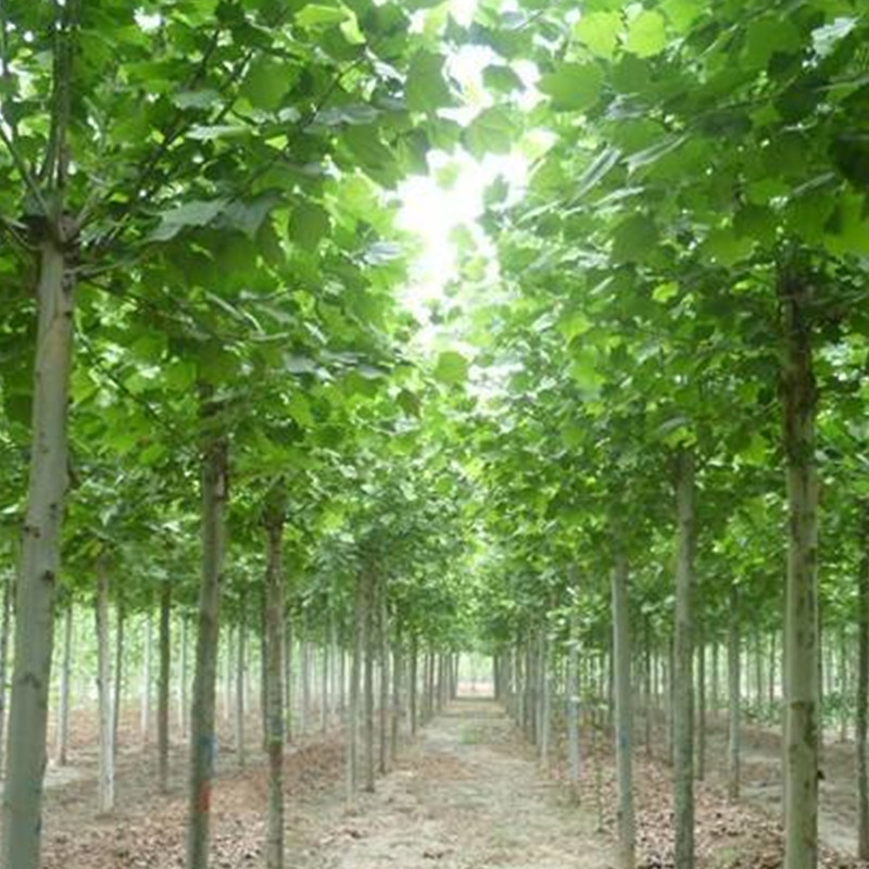 1570670726626509.jpg 1570670726626509.jpg