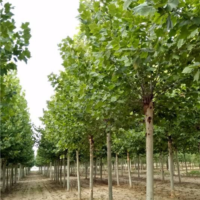 1570670726855461.jpg 1570670726855461.jpg