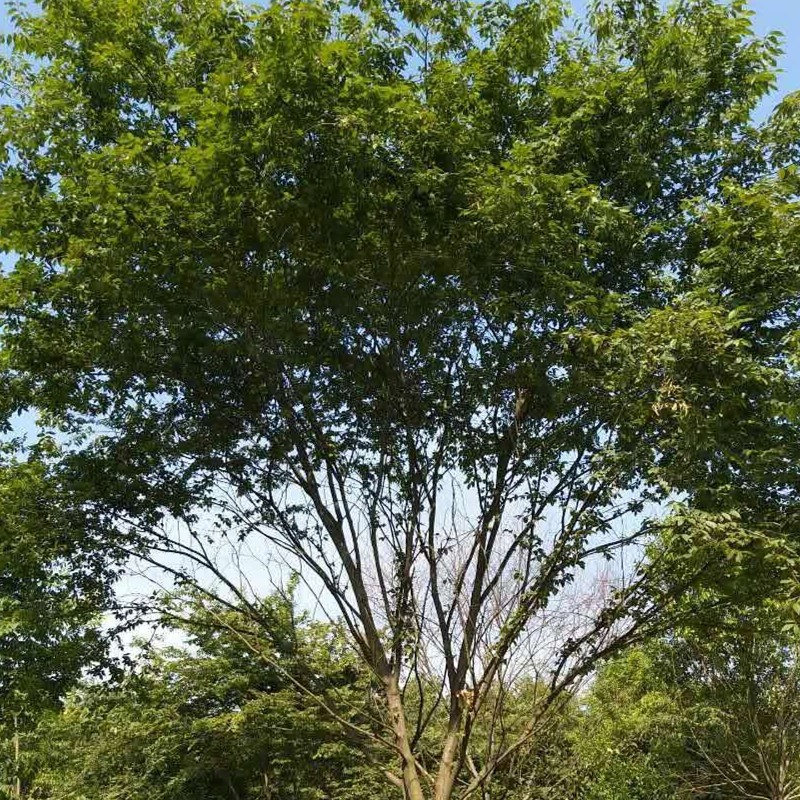 1570775705276194.jpg