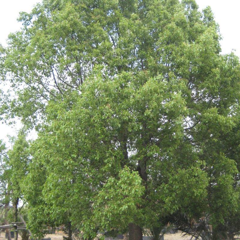 1570775870612810.jpg