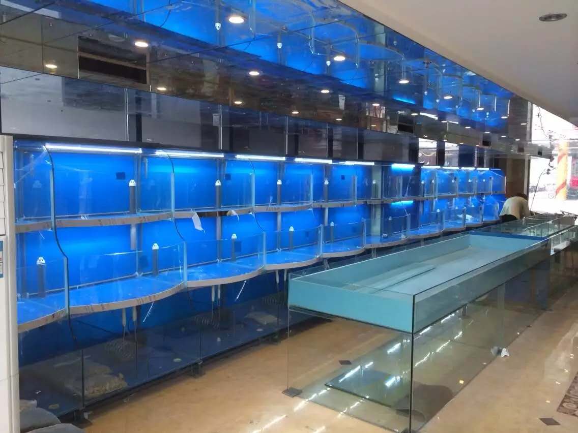 南通酒店饭店海鲜鱼缸定制超市海鲜池方缸爬行缸展示柜酒店养鱼池