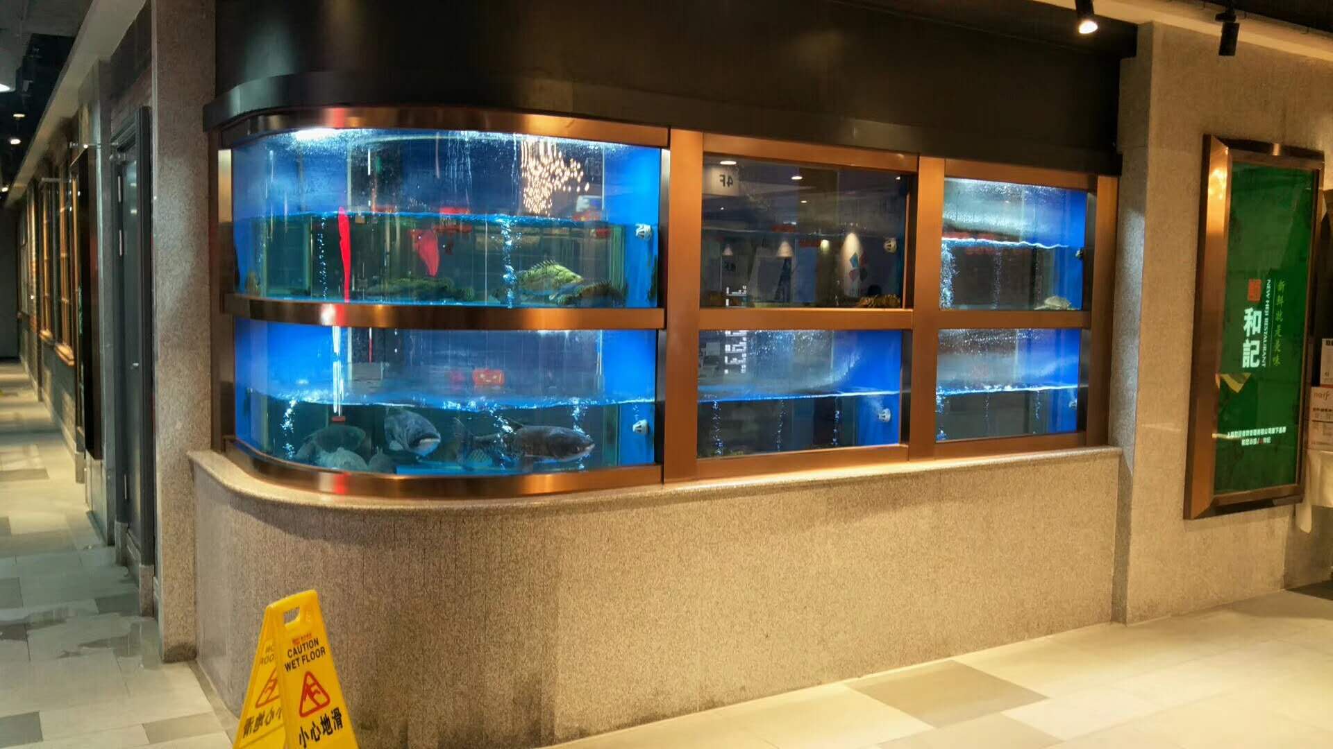 供应超市海鲜鱼缸定制 酒店饭店养鱼鱼池定做 南通超市海鲜贝类池爬行